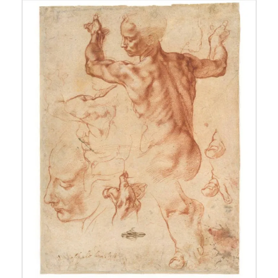 The Met Store Met Publications|Art History & Reference*ART IS...