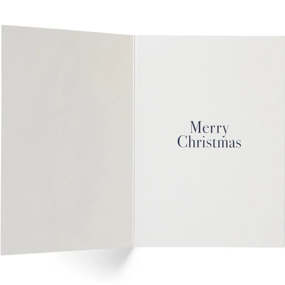 The Met Store Holiday Cards*Dürer: Virgin on the Crescent Fine Holiday Cards with Lined Envelopes and Foil Seals