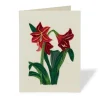 The Met Store Holiday Cards*Hybrid Amaryllis Quilled Holiday Card