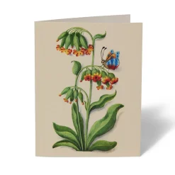 The Met Store Notecards & Correspondence*The Met Cloisters Garden Notecards
