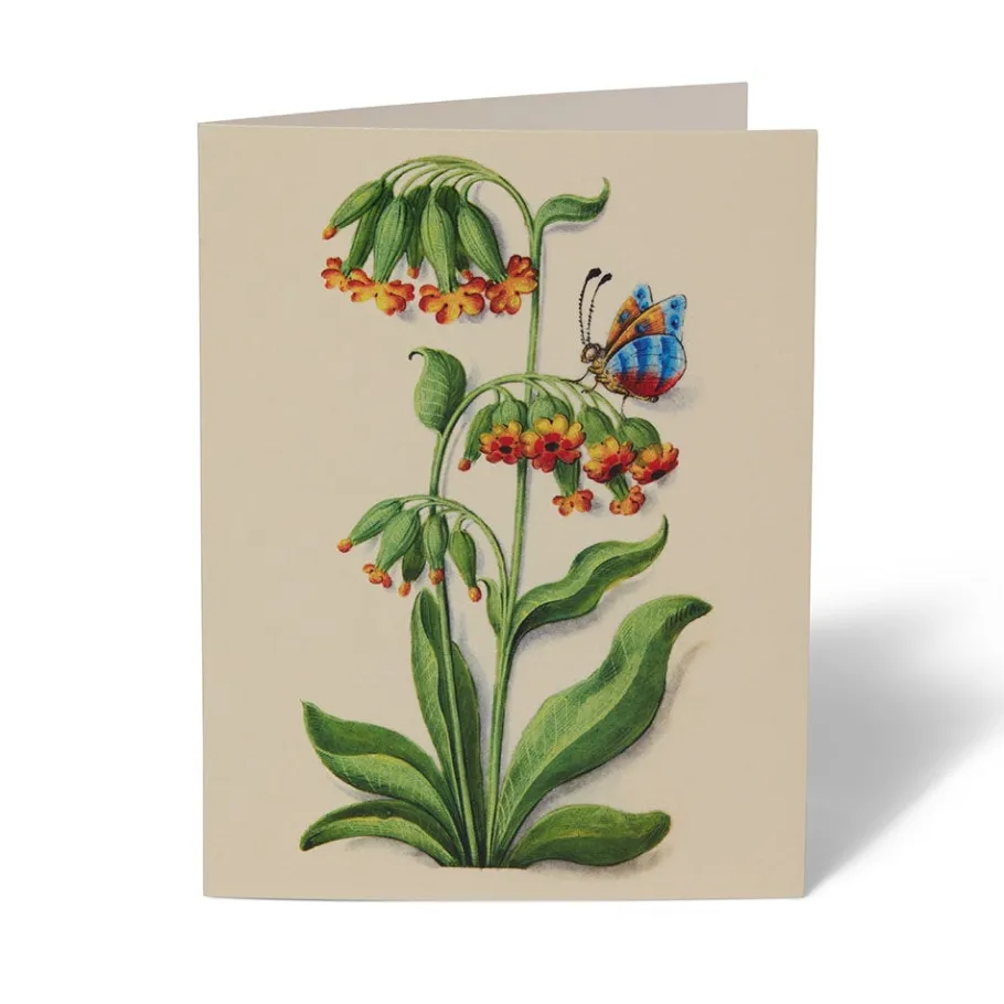 The Met Store Notecards & Correspondence*The Met Cloisters Garden Notecards