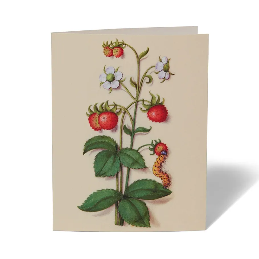 The Met Store Notecards & Correspondence*The Met Cloisters Garden Notecards