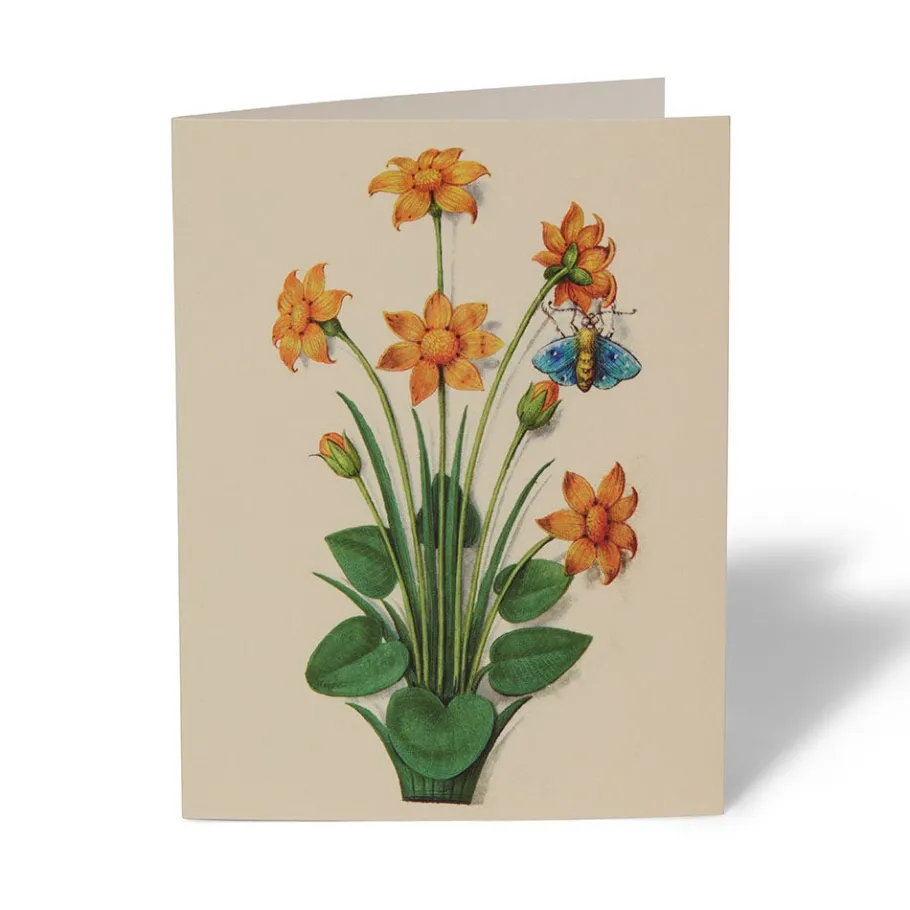 The Met Store Notecards & Correspondence*The Met Cloisters Garden Notecards
