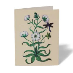 The Met Store Notecards & Correspondence*The Met Cloisters Garden Notecards