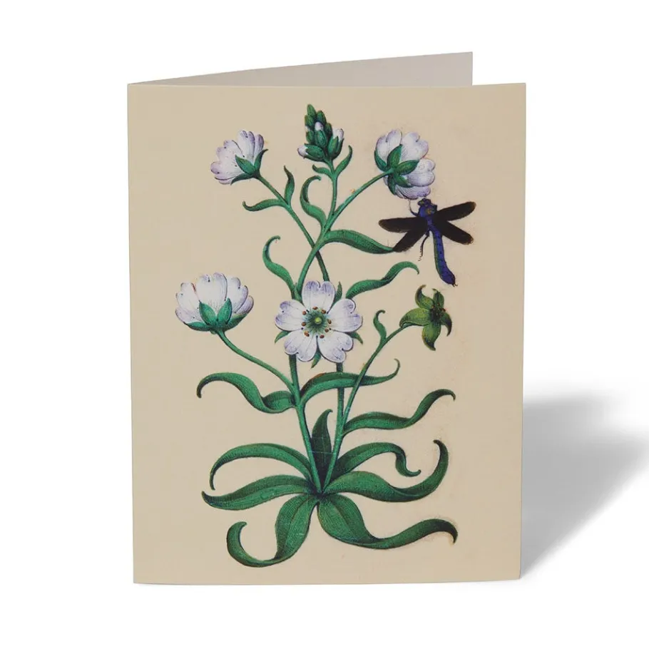 The Met Store Notecards & Correspondence*The Met Cloisters Garden Notecards