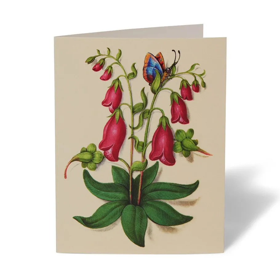 The Met Store Notecards & Correspondence*The Met Cloisters Garden Notecards