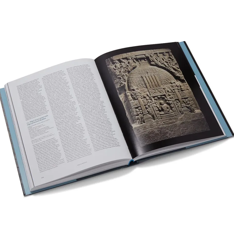 The Met Store Met Publications|Exhibition Catalogues*Tree & Serpent: Early Buddhist Art in India